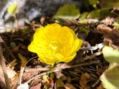 002
