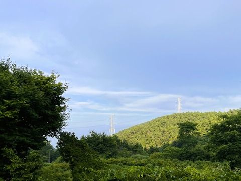 201