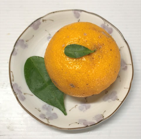 yuzu1