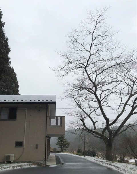 yuki2