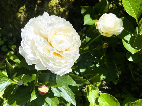 102