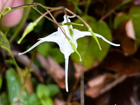 019