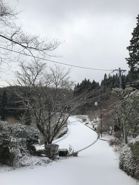 yuki1