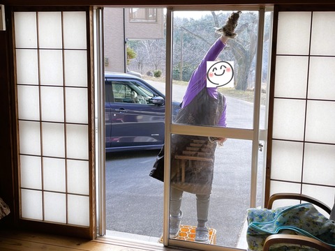 003