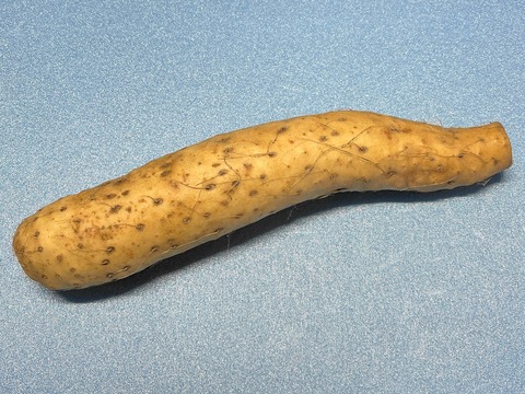 nagaimo01