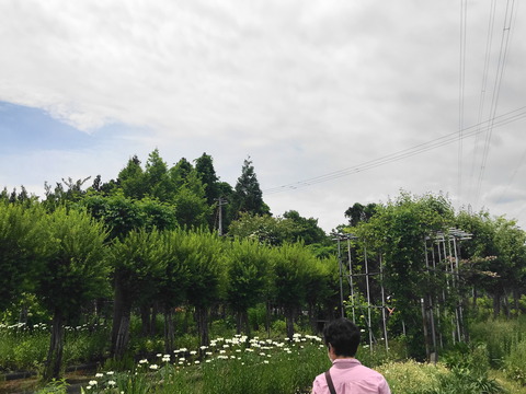 ainohanazono2
