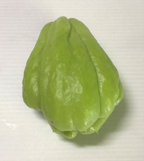 hayatouri1