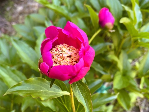 008