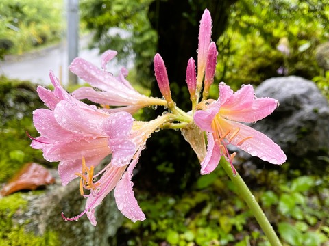 022