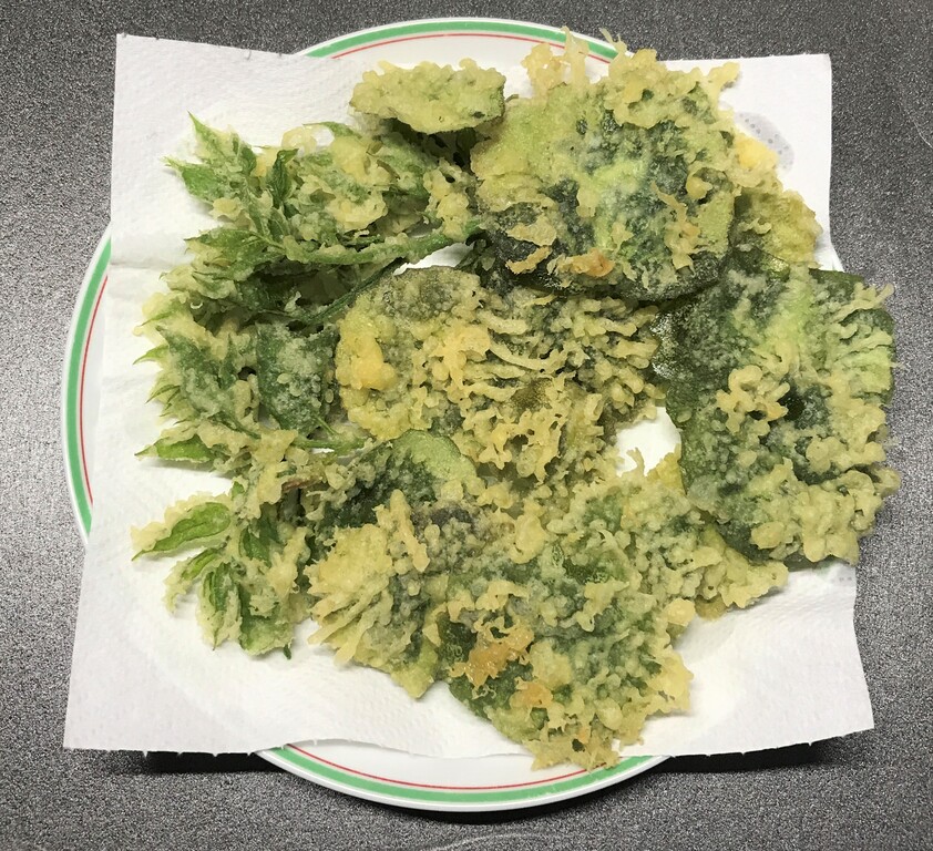 雪の下 昨日 きつねくぼ で