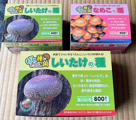 kinoko01