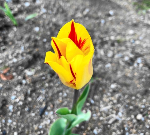 05