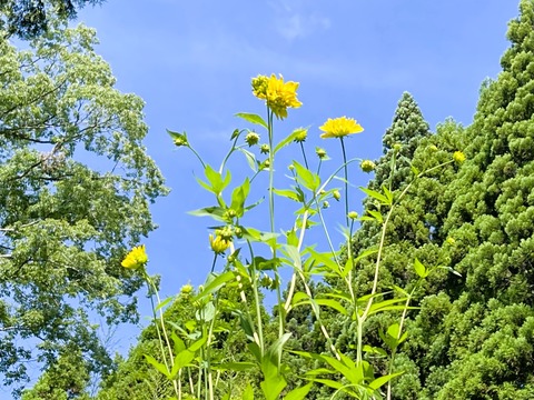 013