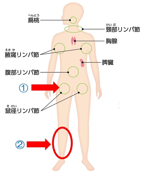 図1