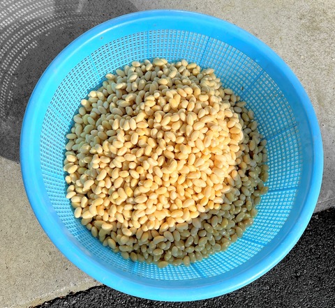 miso03