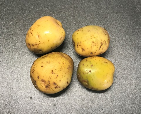 jagaimo