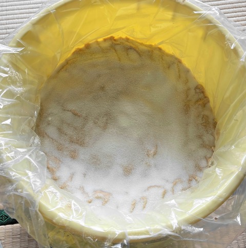 miso17