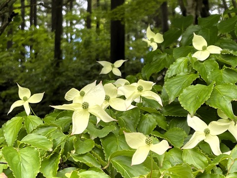 023
