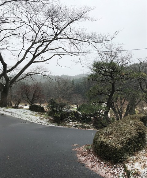 yuki1