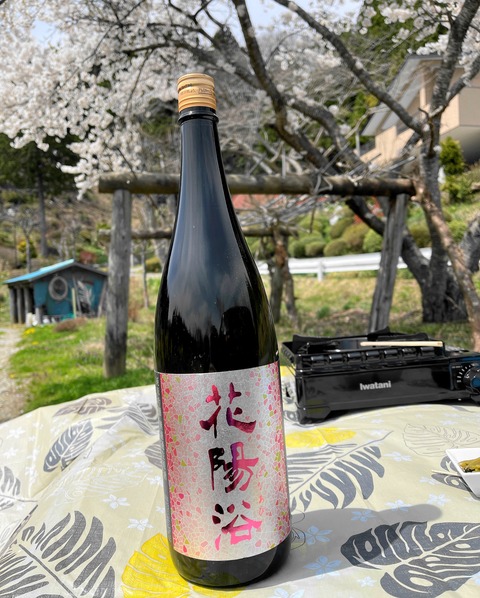 hanami4
