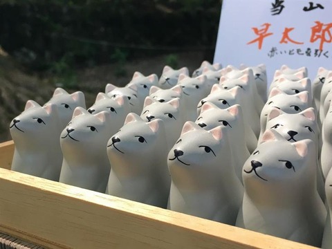 wanko