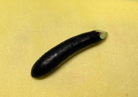 nasu3