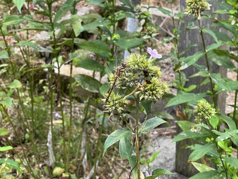 08