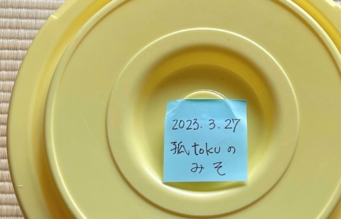 miso19
