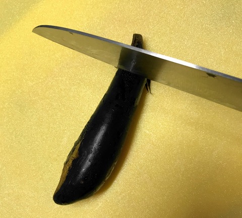 nasu2