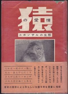 猿の愛情の本の表紙