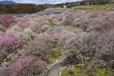 ���ʤ����ӣ�