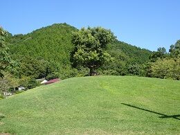 荒神山 丘