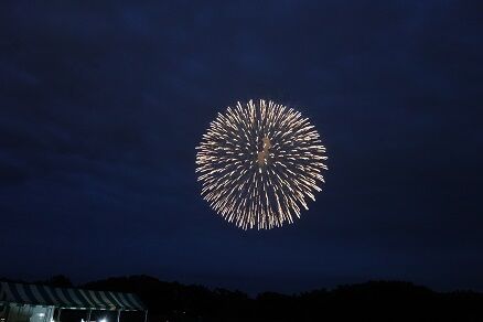 Ĺ���ֲУ�������ֲ�