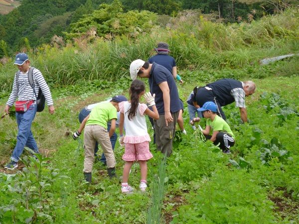 2017 静岡キャンプ3 野菜とり