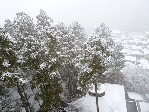 金沢 雪景色