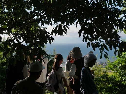 ����������꡼����