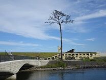 陸前高田 一本松