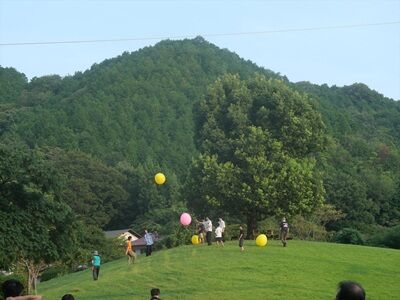 ī�ΤĤɤ�����������