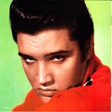 ����ӥ����ץ쥹�꡼