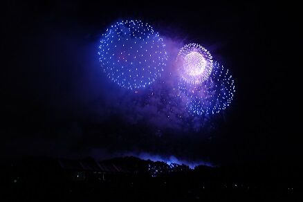 Ĺ���ֲУ����Ŀ�