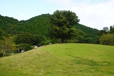つどいの広場の丘