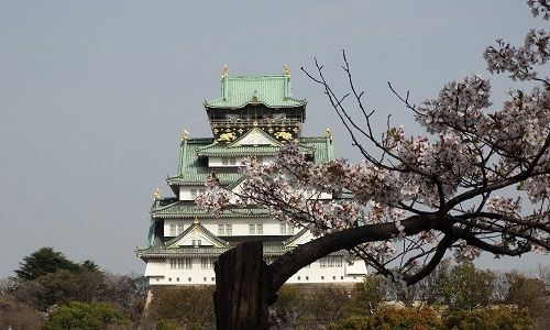 2018花見 大阪城