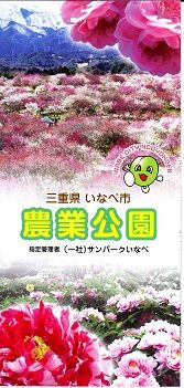 ���ʤ����ӥѥ�ե�å�