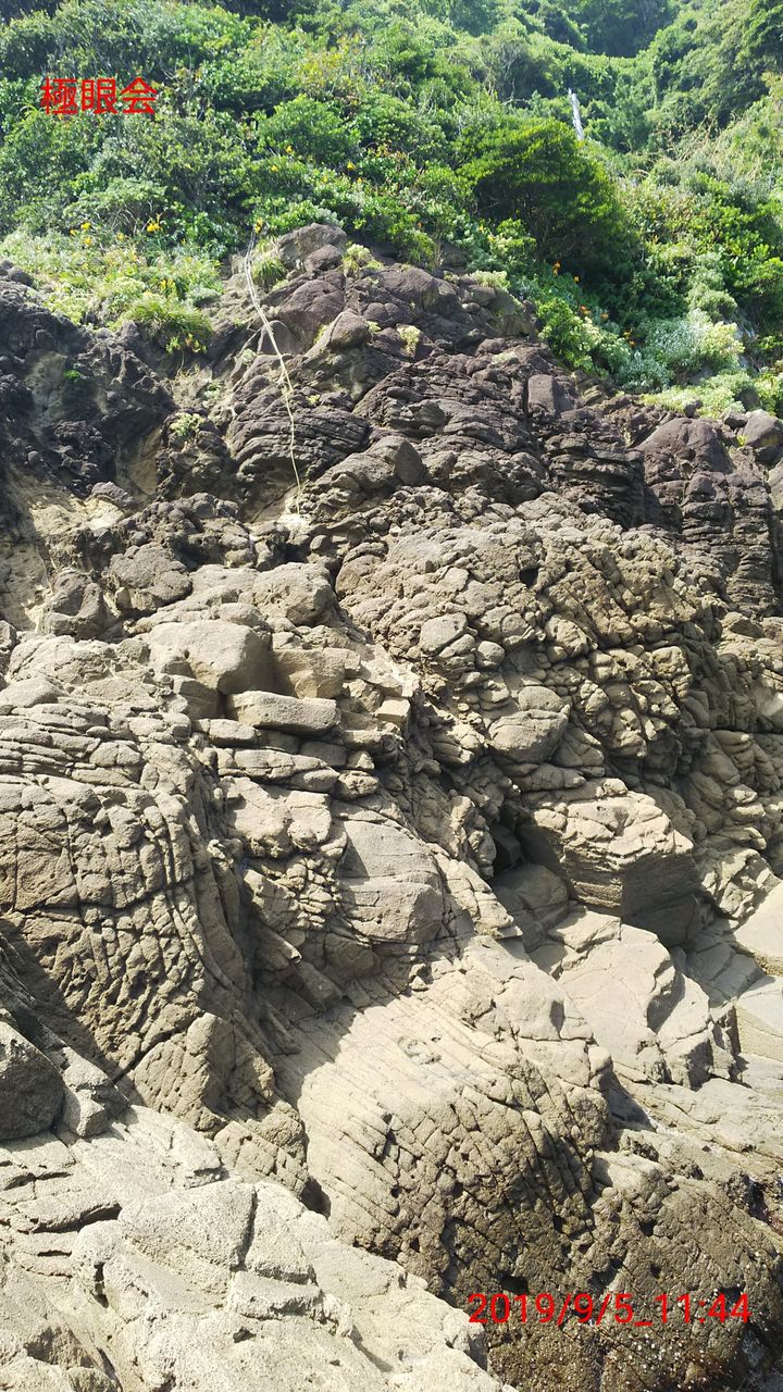 東伊豆 河津七子浦釣行 極眼会