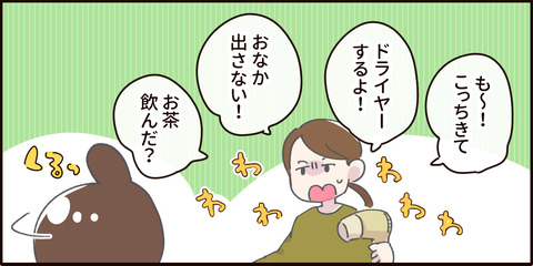 p20 2