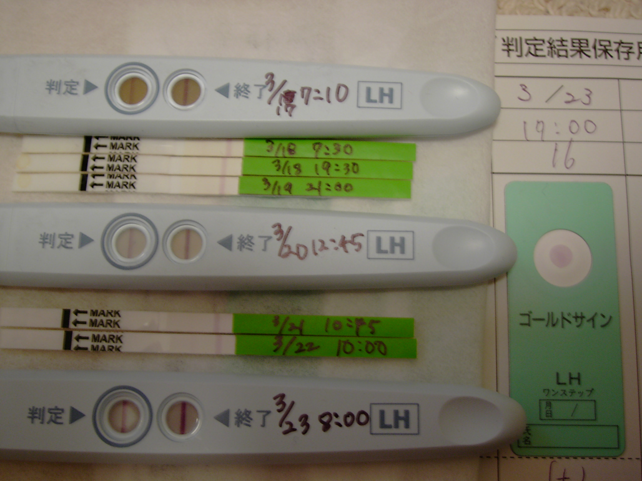 排卵検査薬 確率