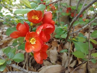 IMG_20220331_124337