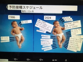 IMG_2024-08-06-12-40-44-595