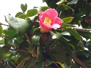 IMG_20220331_124029