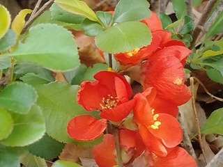 IMG_20220331_124146